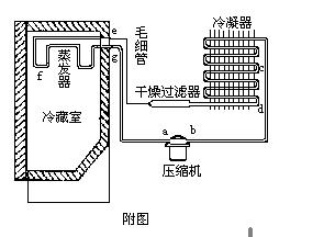 冰箱冷藏为何不会冷冻（探究冰箱冷藏功能的局限性及原因）