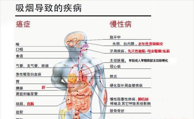 为什么抽油烟机不抽烟（探究抽油烟机抽烟失效的原因）