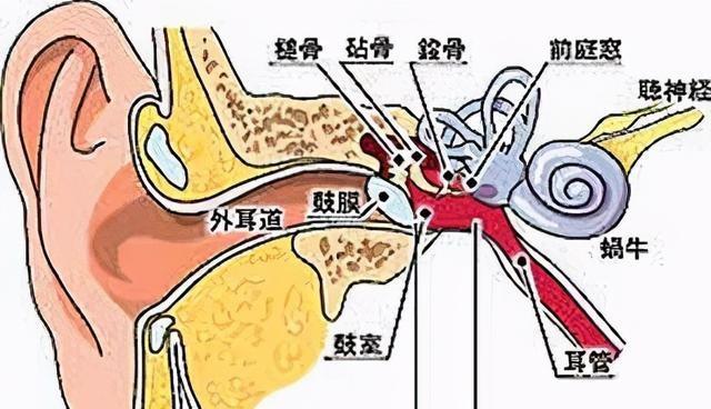 电脑耳朵设置声音的方法是什么？如何调整？